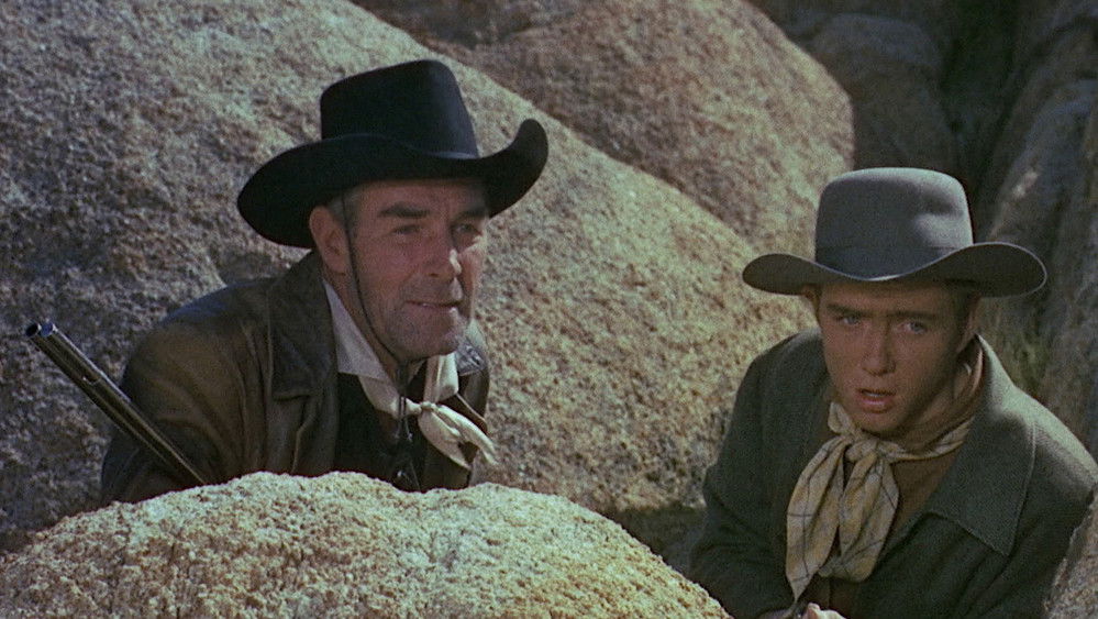 刽子手心结,Hangman's Knot(1952电影)