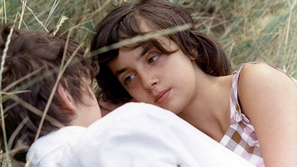 我的小情人,Mes petites amoureuses(1974电影)