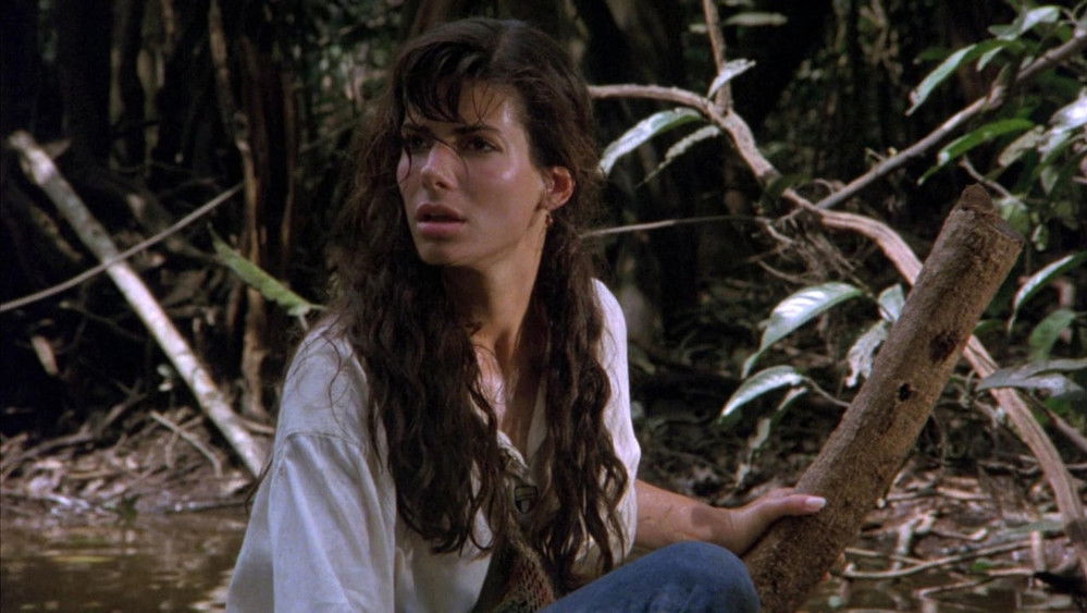 亚马逊之火,Fire on the Amazon(1993电影)