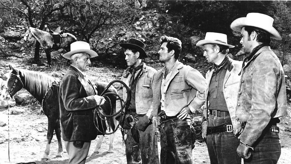 断戈浴血记,Broken Lance(1954电影)