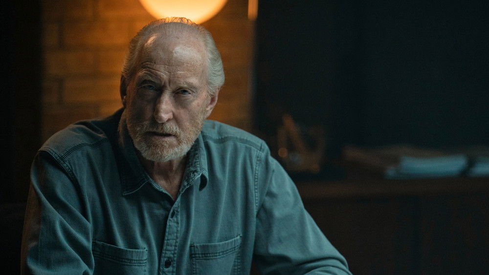 Rabbit Hole: Juego de mentiras