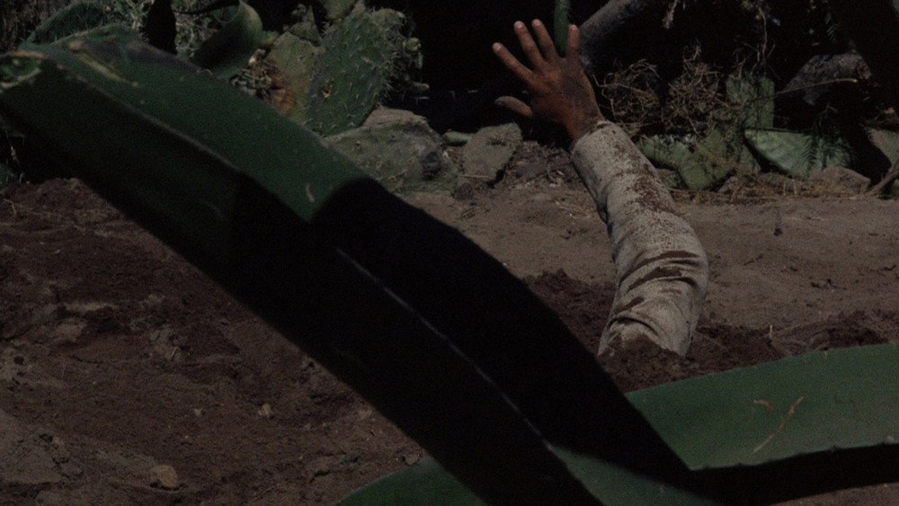 惊天动地抢人头,Bring Me the Head of Alfredo Garcia(1974电影)