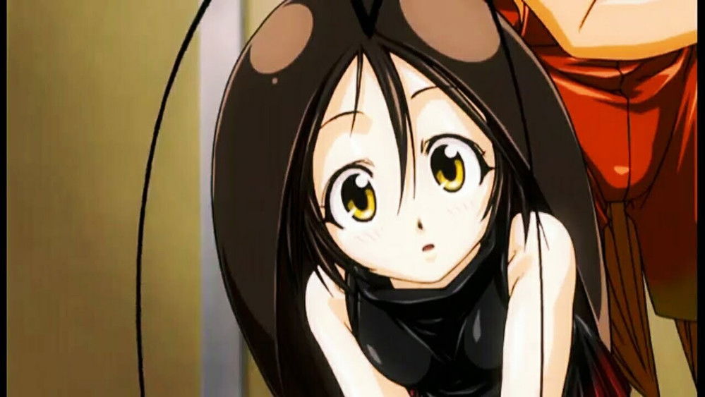 蟑螂娘,ごきチャ!!(2012日本动漫)