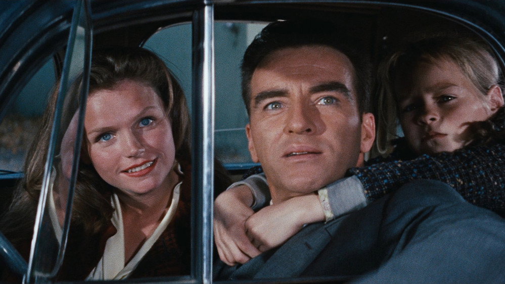 狂澜春醒,Wild River(1960电影)