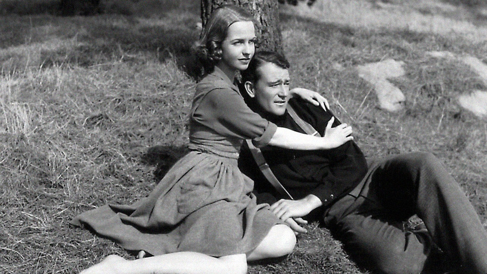 牧岭恩仇记,The Shepherd of the Hills(1941电影)