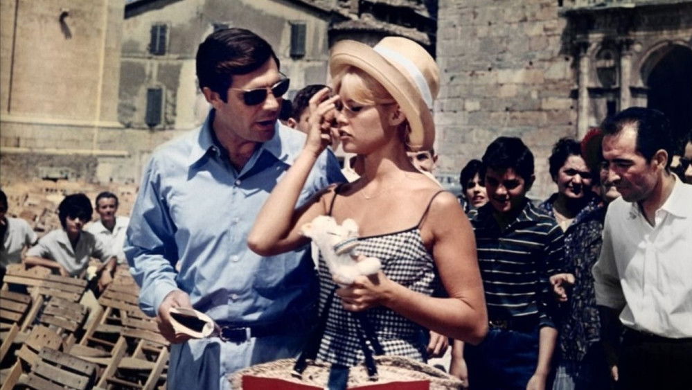 私人生活,Vie privée(1962电影)