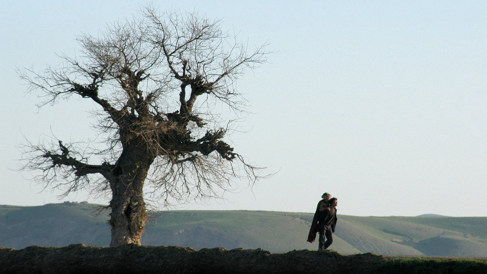 背马鞍的男孩,اسب دوپا(2009电影)