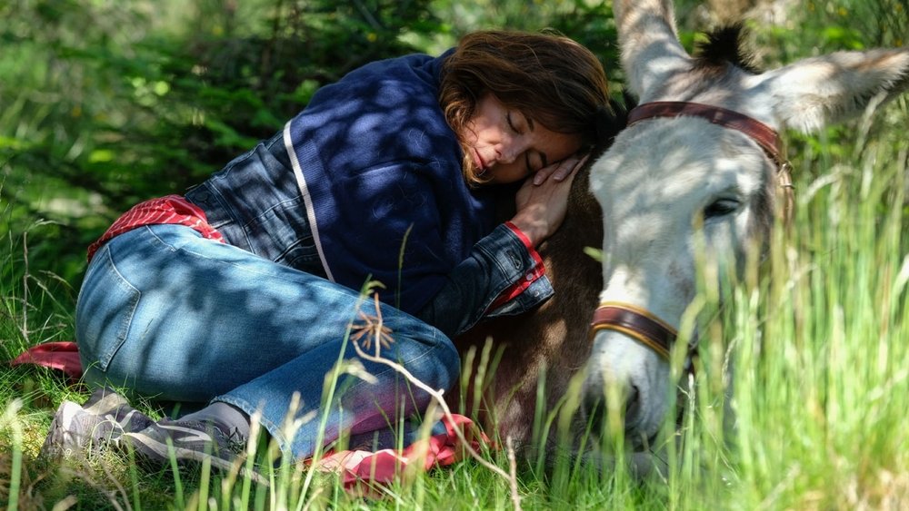 塞文山脉的安东万,Antoinette dans les Cévennes(2020电影)