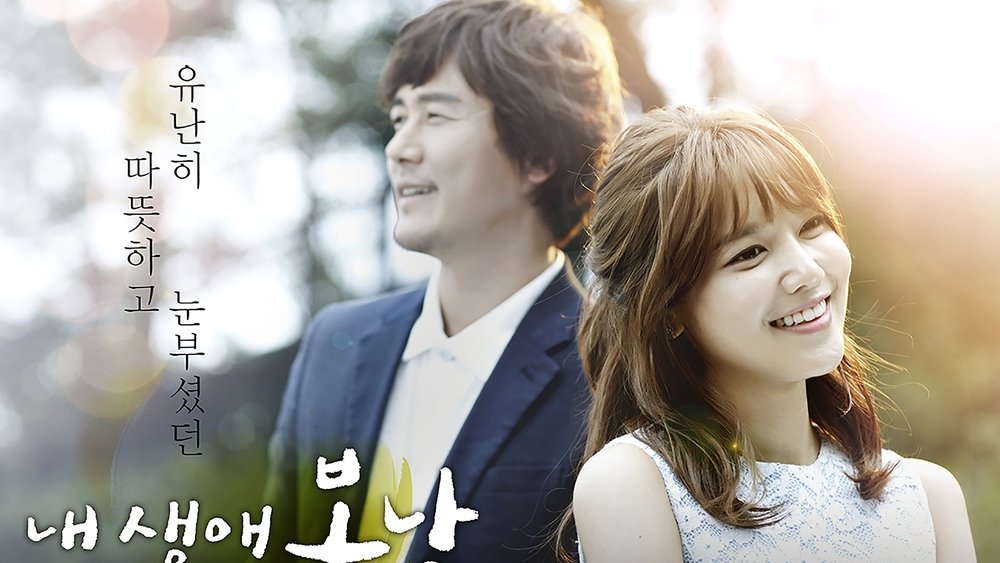我人生的春天,내 생애 봄날(2014电视剧集)