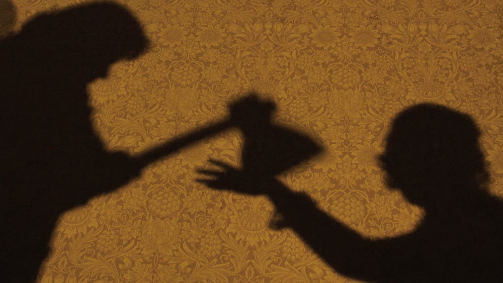 钢琴课,The Piano(1993电影)