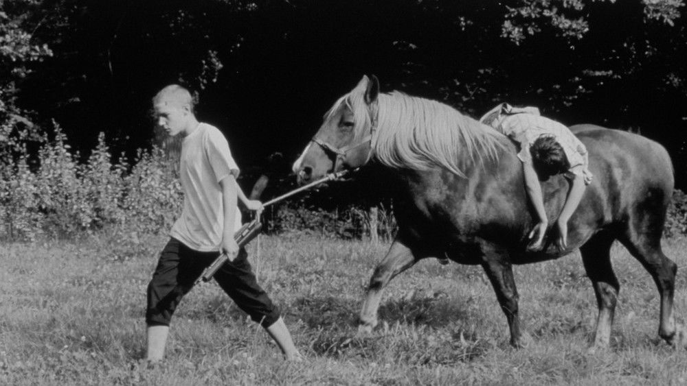 深呼吸,Le souffle(2001电影)