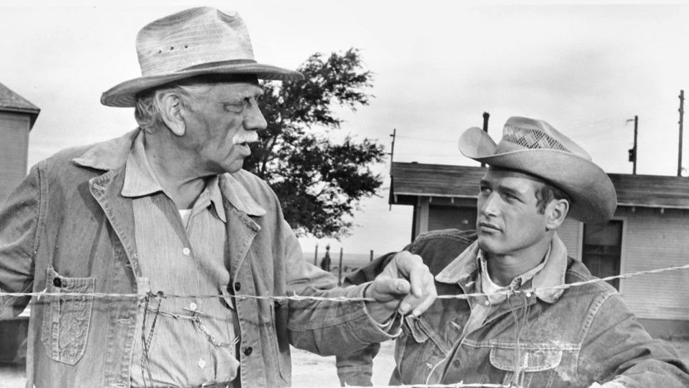 原野铁汉,Hud(1963电影)