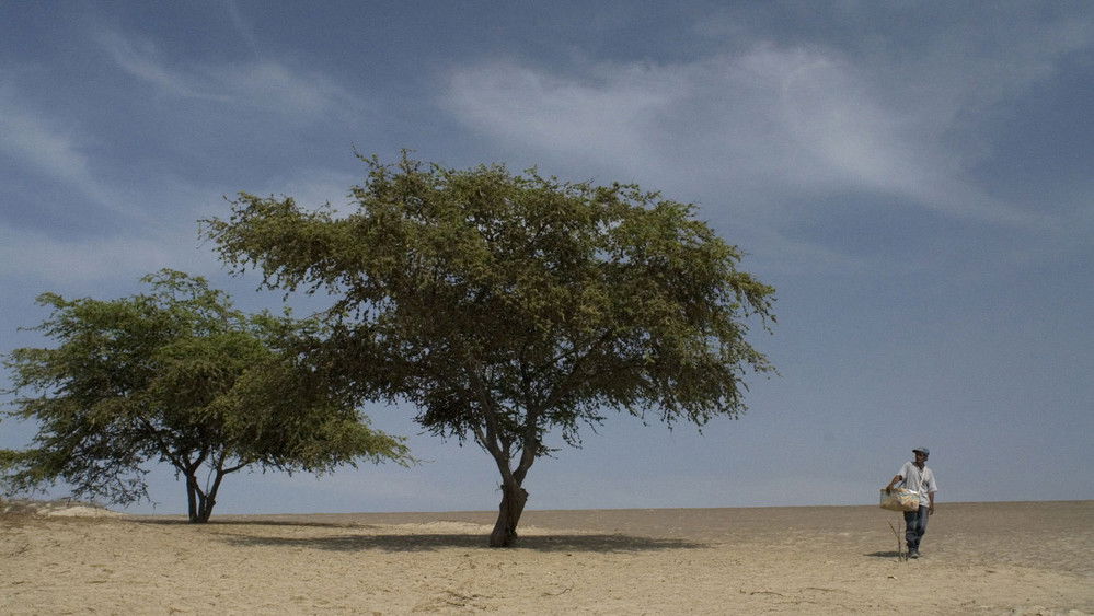 伤心的奶水,La teta asustada(2009电影)