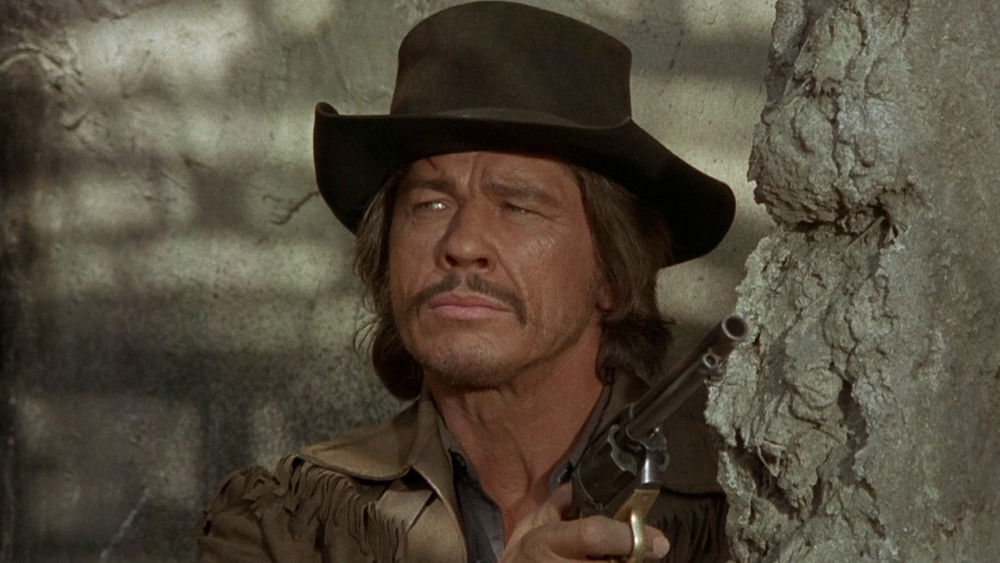 龙虎群英,Soleil Rouge(1971电影)