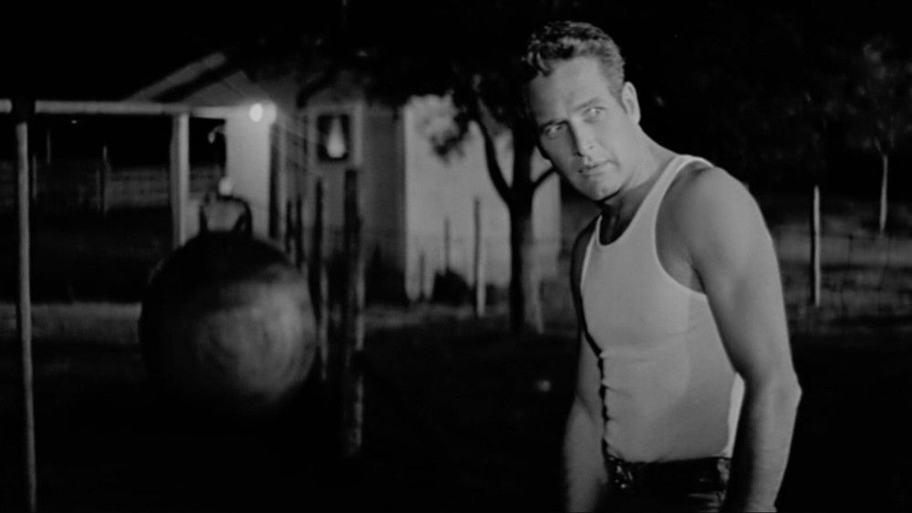 原野铁汉,Hud(1963电影)