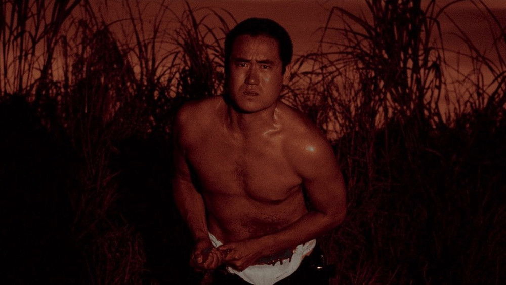 三岛由纪夫传,Mishima: A Life in Four Chapters(1985电影)