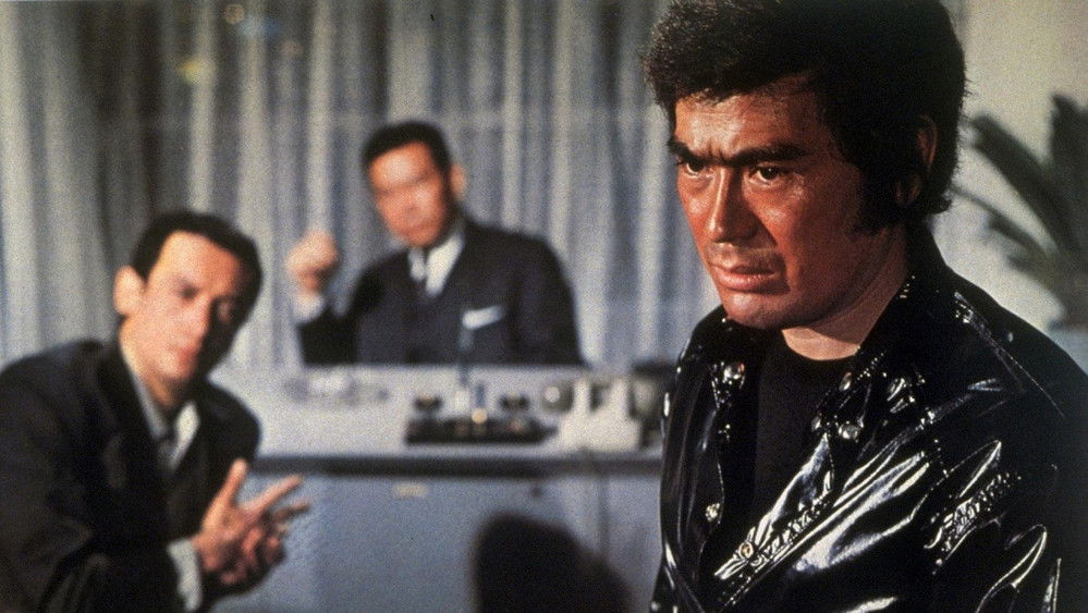 我来给黑社会送葬,狼やくざ　葬いは俺が出す(1972电影)