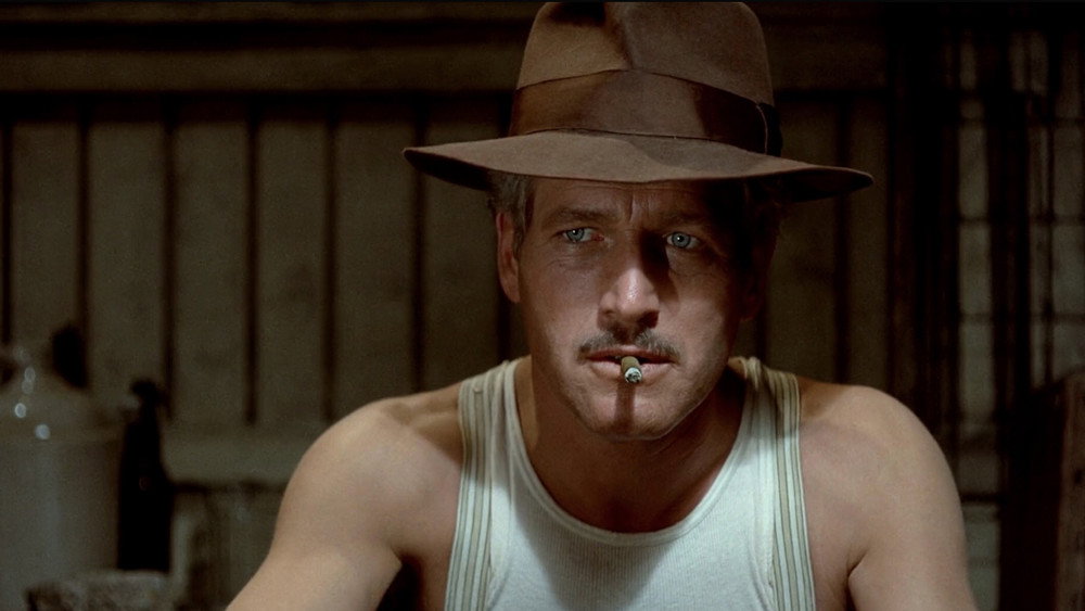 骗中骗,The Sting(1973电影)