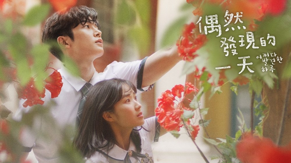 偶然发现的一天,어쩌다 발견한 하루(2019电视剧集)