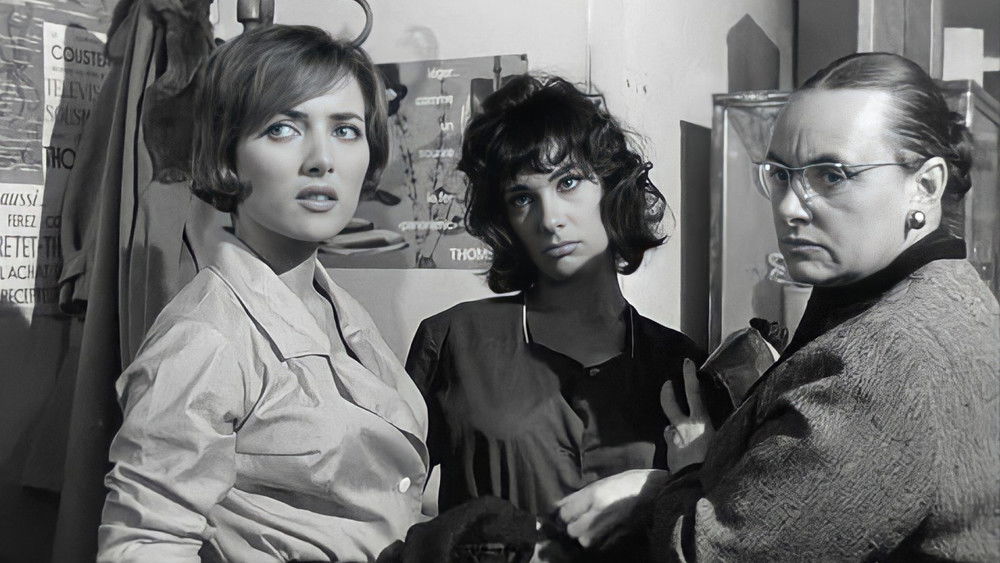 好女人们,Les bonnes femmes(1960电影)