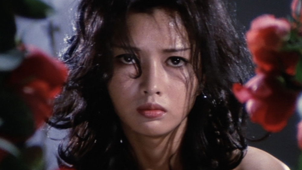 圣兽学园,聖獣学園(1974电影)