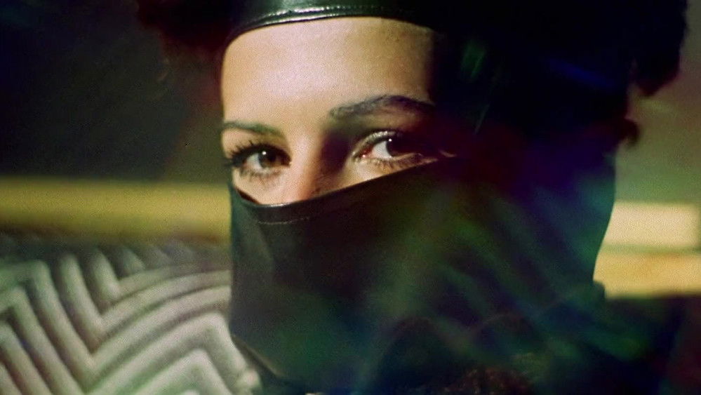 阁楼性事,Historia sexual de O(1984电影)