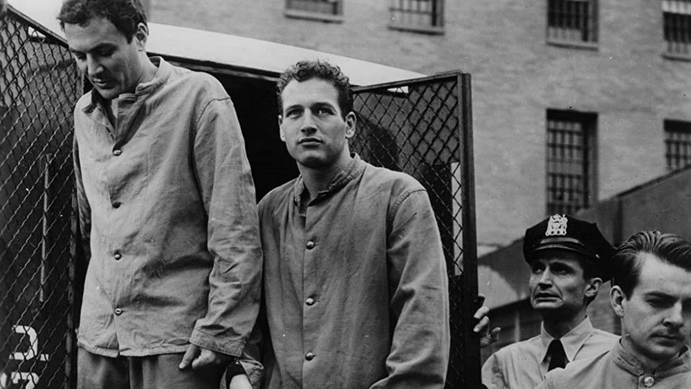 回头是岸,Somebody Up There Likes Me(1956电影)