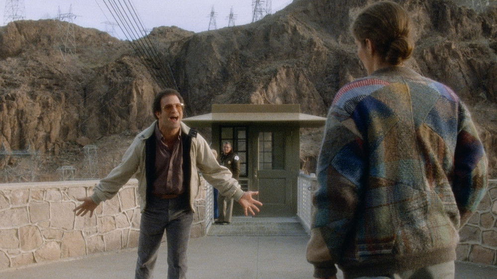 迷失的美国人,Lost in America(1985电影)