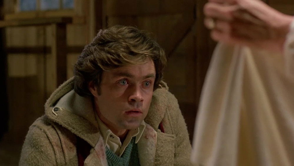 灵婴,The Brood(1979电影)