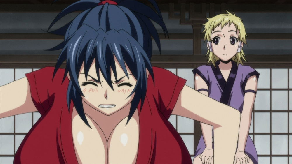 魔乳秘剑帖,魔乳秘剣帖(2011日本动漫)