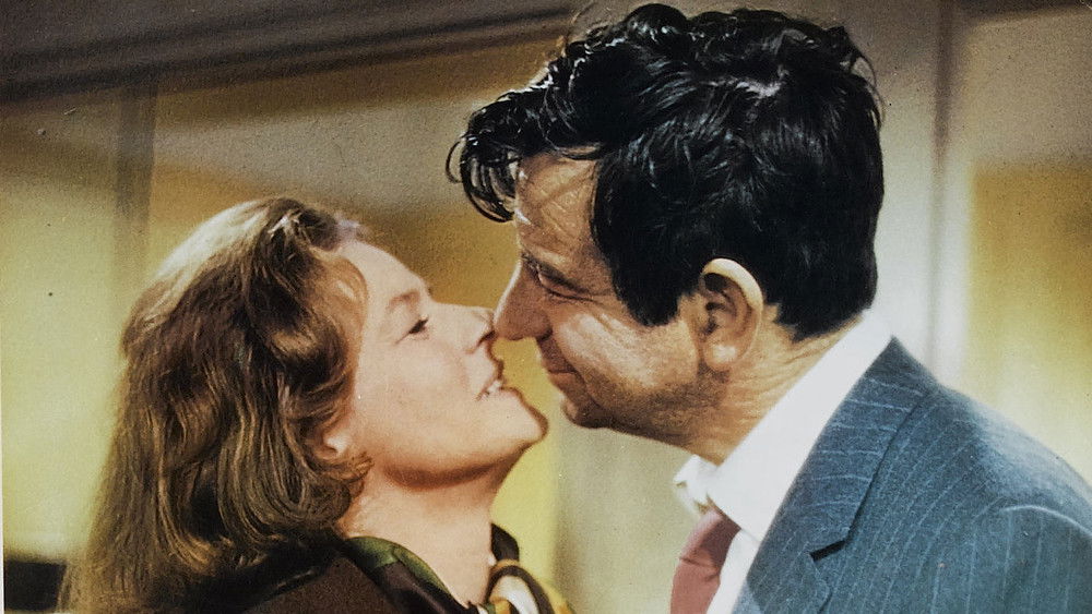 仙人掌花,Cactus Flower(1969电影)