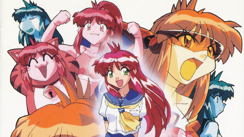 万能文化猫娘 TV版,万能文化猫娘(1998日本动漫)