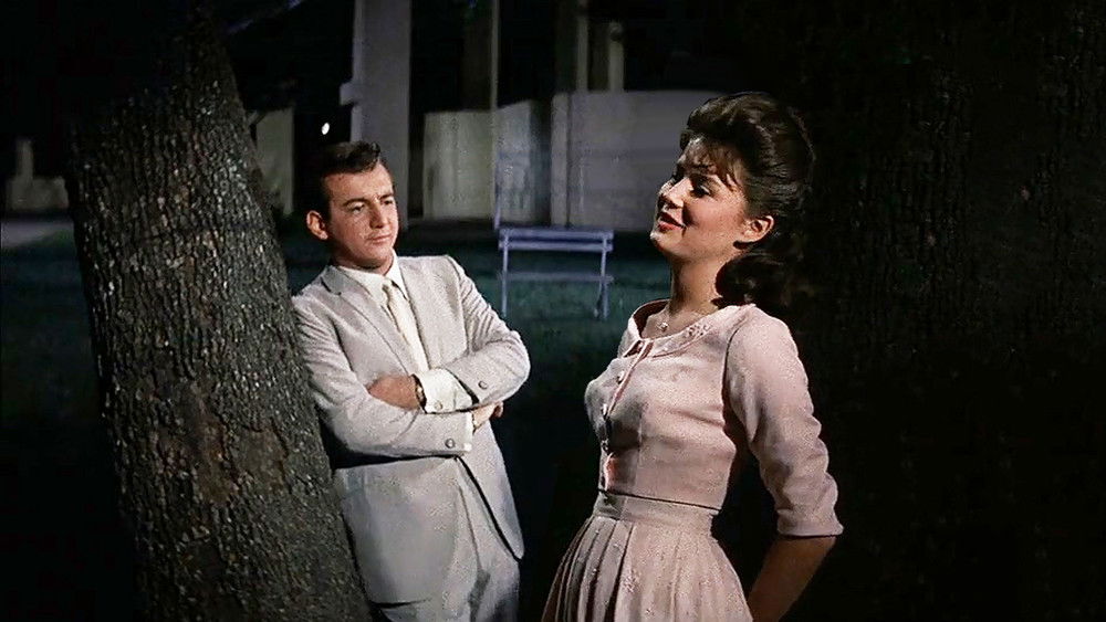 我心已许,State Fair(1962电影)