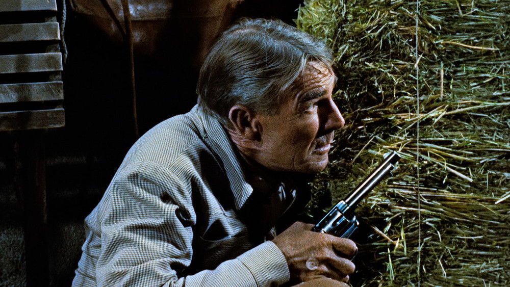 日落镇的决断,Decision at Sundown(1957电影)