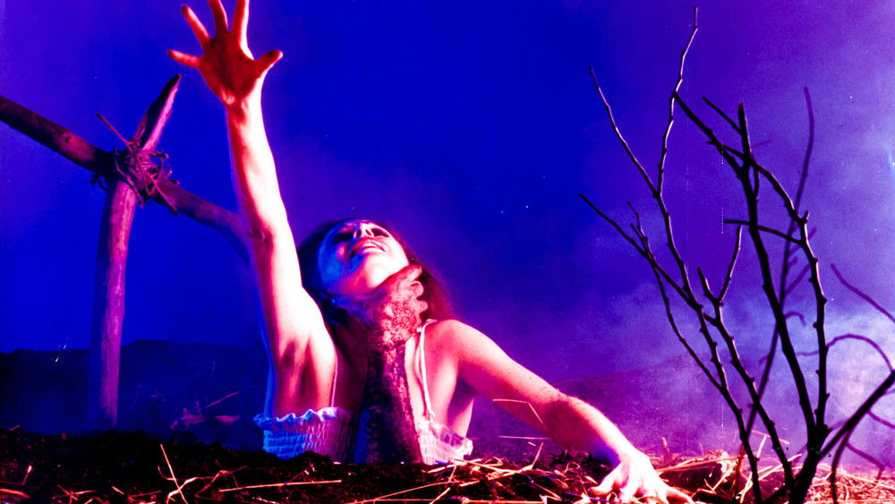 鬼玩人,The Evil Dead(1981电影)