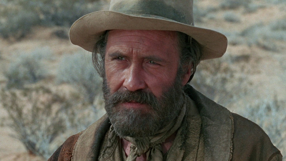 牛郎血泪美人恩,The Ballad of Cable Hogue(1970电影)