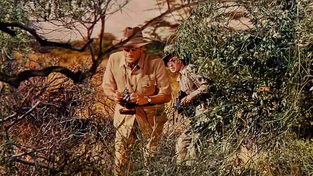 乞力马扎罗的雪,The Snows of Kilimanjaro(1952电影)
