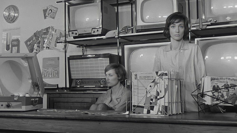 好女人们,Les bonnes femmes(1960电影)