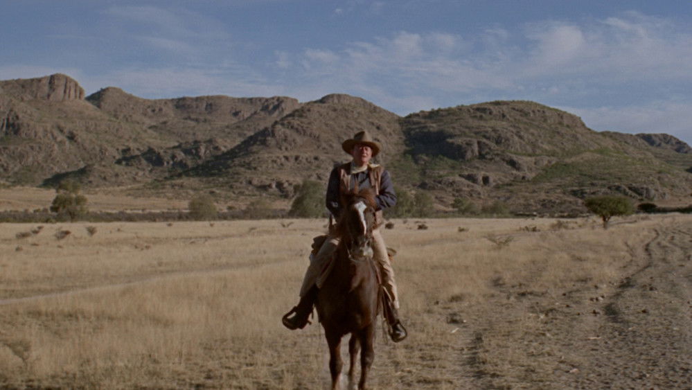 四兄弟,The Sons of Katie Elder(1965电影)