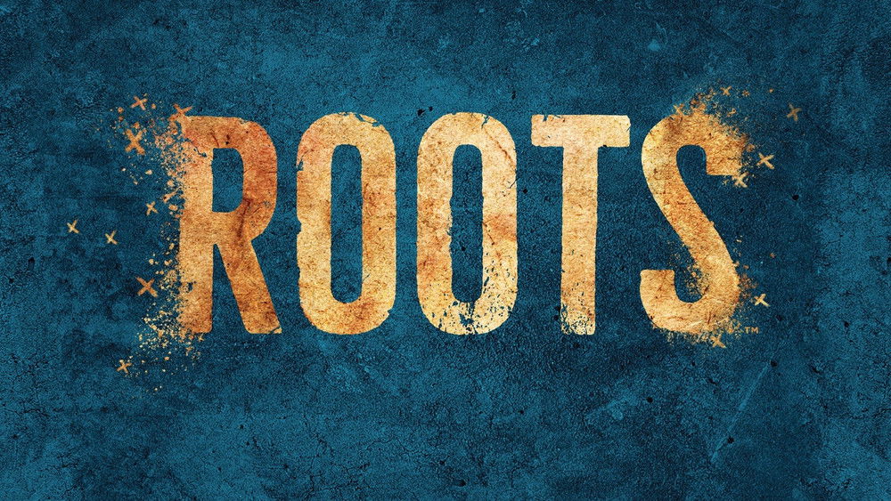 根,Roots(2016电视剧集)