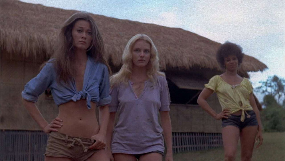 大鸟笼,The Big Bird Cage(1972电影)