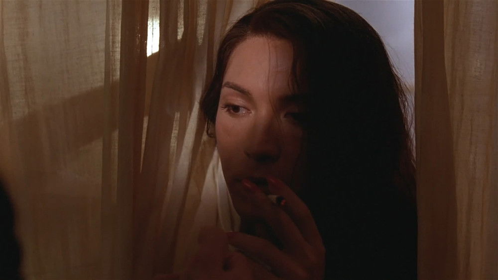 蝴蝶君,M. Butterfly(1993电影)