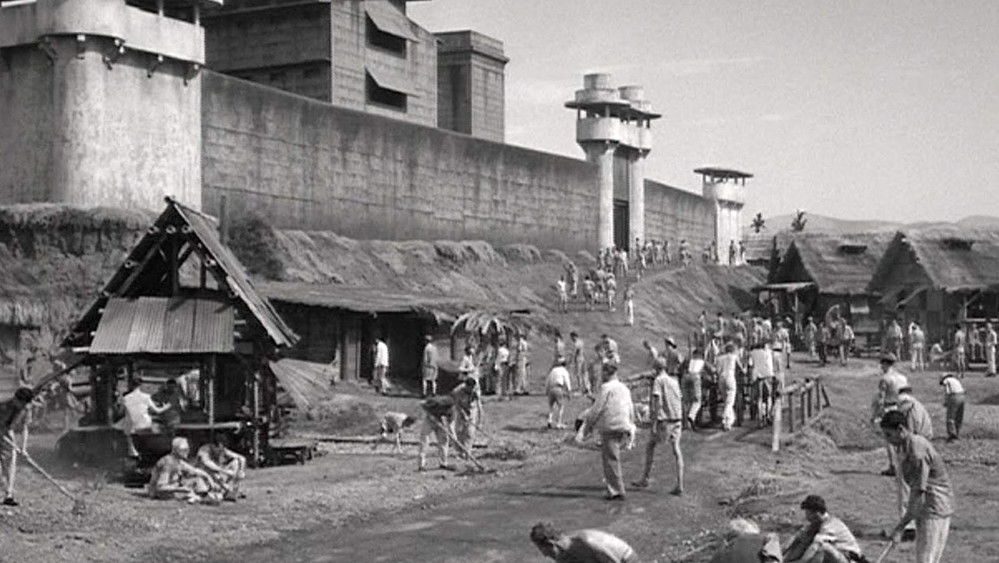 鼠王,King Rat(1965电影)