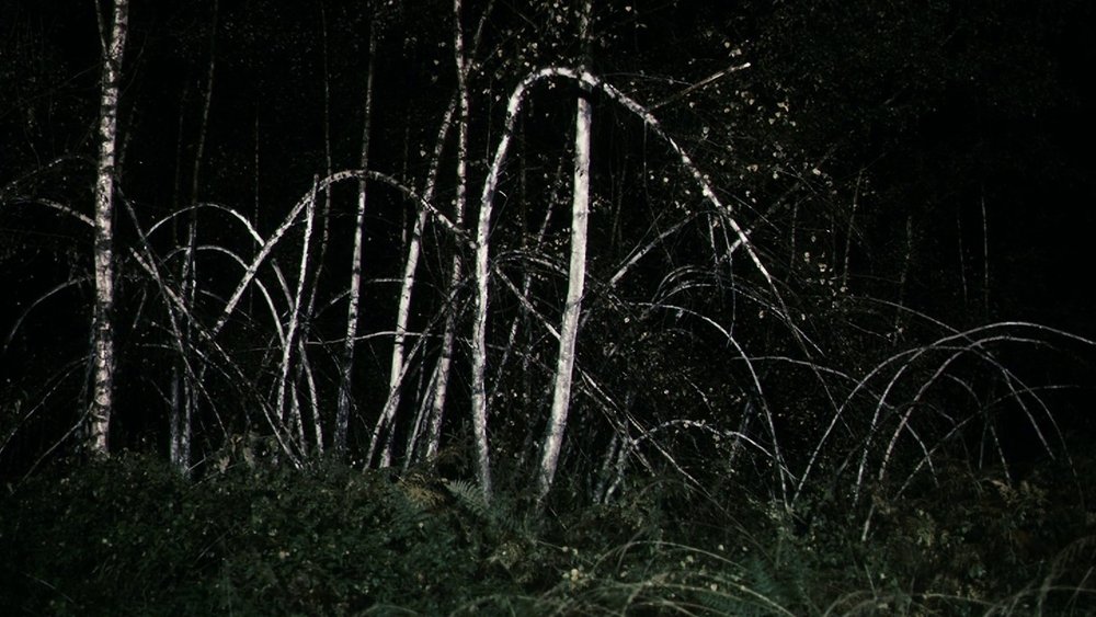 反基督者,Antichrist(2009电影)