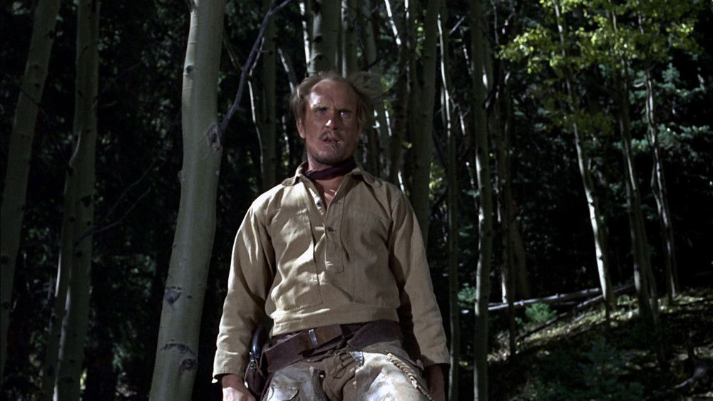 大地惊雷,True Grit(1969电影)