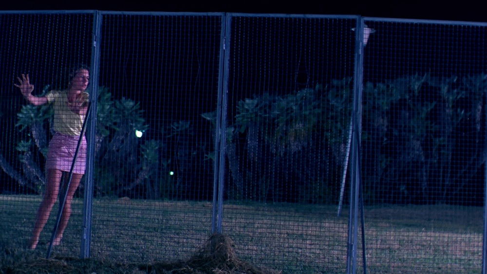 黑暗,Tenebre(1982电影)