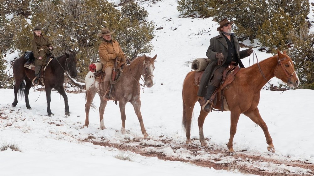 大地惊雷,True Grit(2010电影)