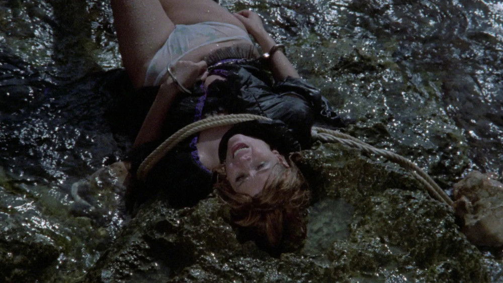 骷髅夜,La noche de los asesinos(1974电影)