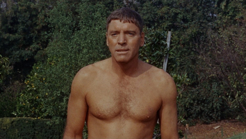 浮生录,The Swimmer(1968电影)