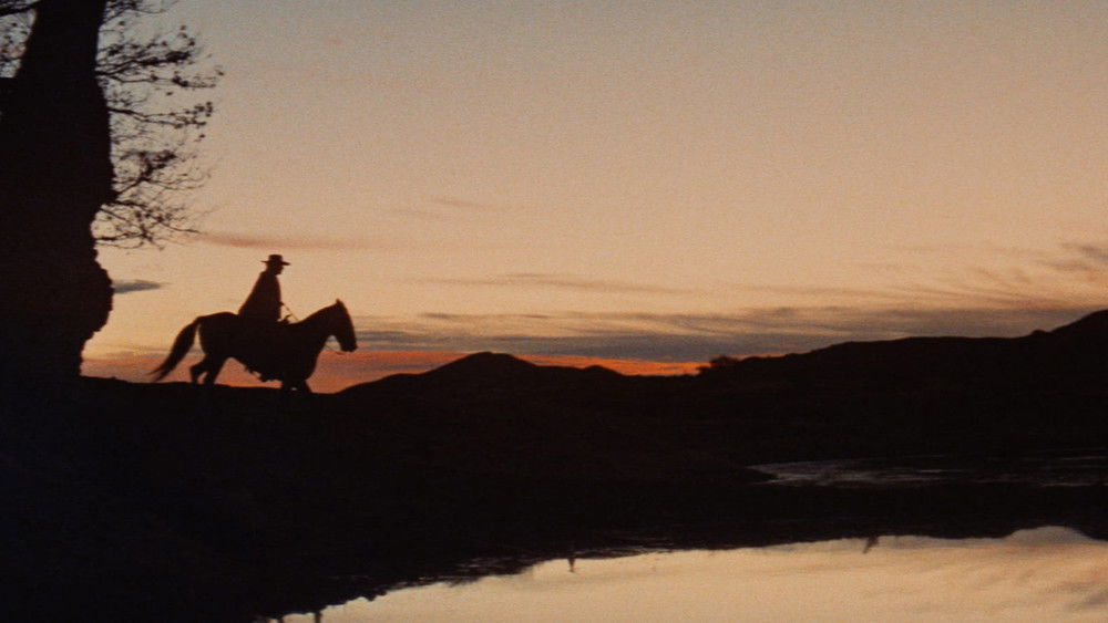 比利小子,Pat Garrett & Billy the Kid(1973电影)